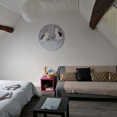 Appartement Spacieux Vue Sur Loire Proche Du Centre Blois Exteriér fotografie