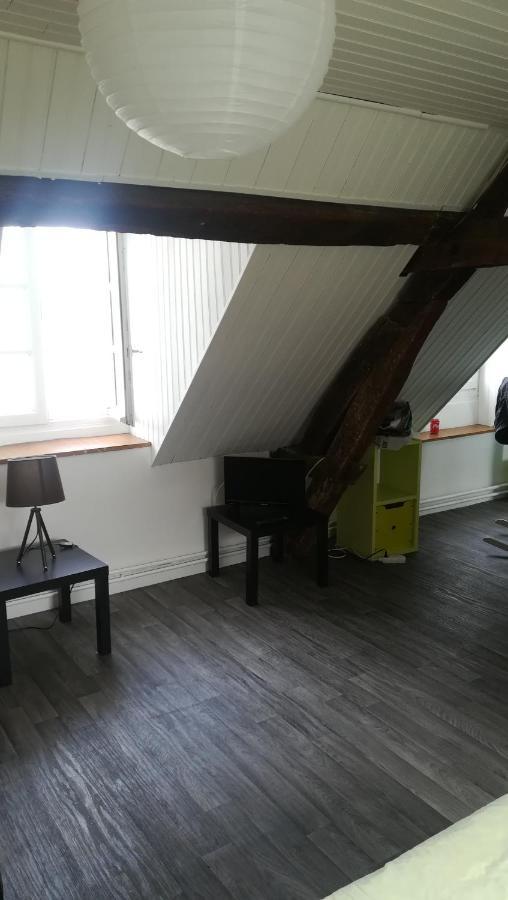 Appartement Spacieux Vue Sur Loire Proche Du Centre Blois Exteriér fotografie