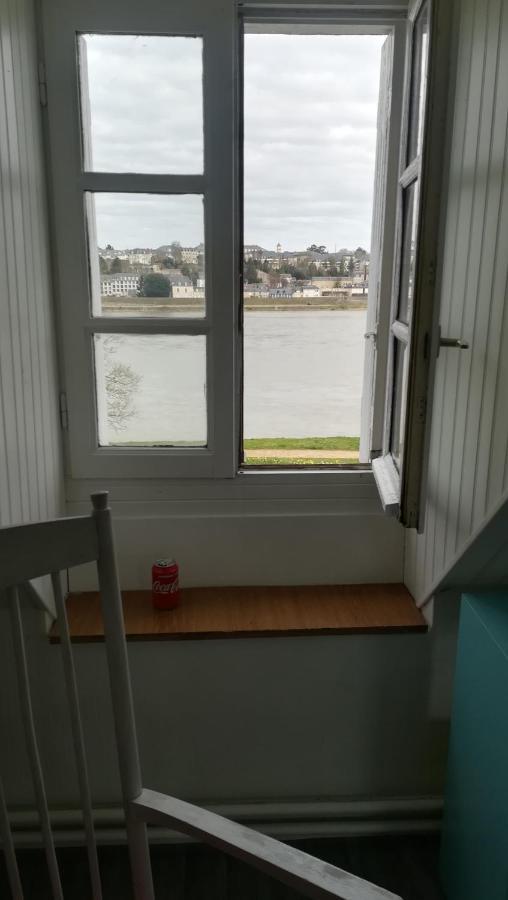 Appartement Spacieux Vue Sur Loire Proche Du Centre Blois Exteriér fotografie