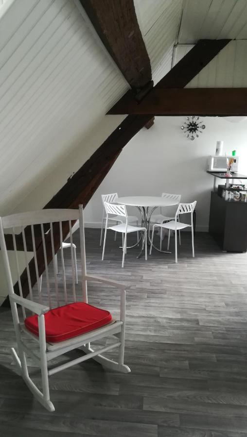 Appartement Spacieux Vue Sur Loire Proche Du Centre Blois Exteriér fotografie