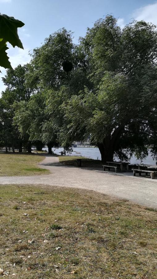 Appartement Spacieux Vue Sur Loire Proche Du Centre Blois Exteriér fotografie