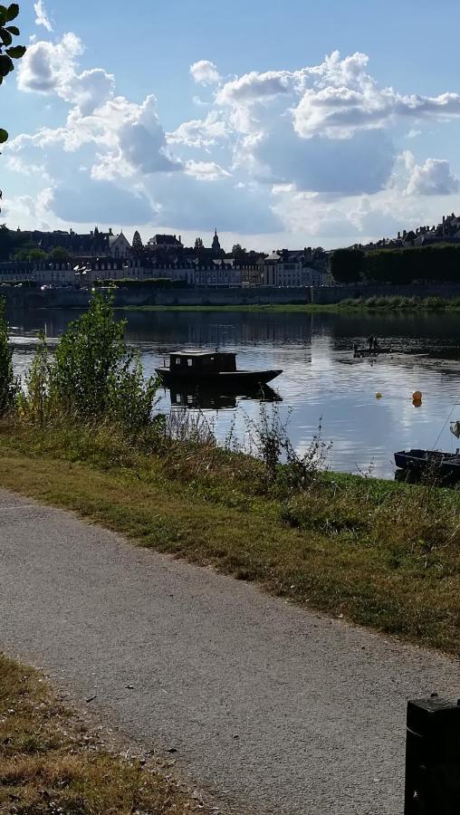 Appartement Spacieux Vue Sur Loire Proche Du Centre Blois Exteriér fotografie