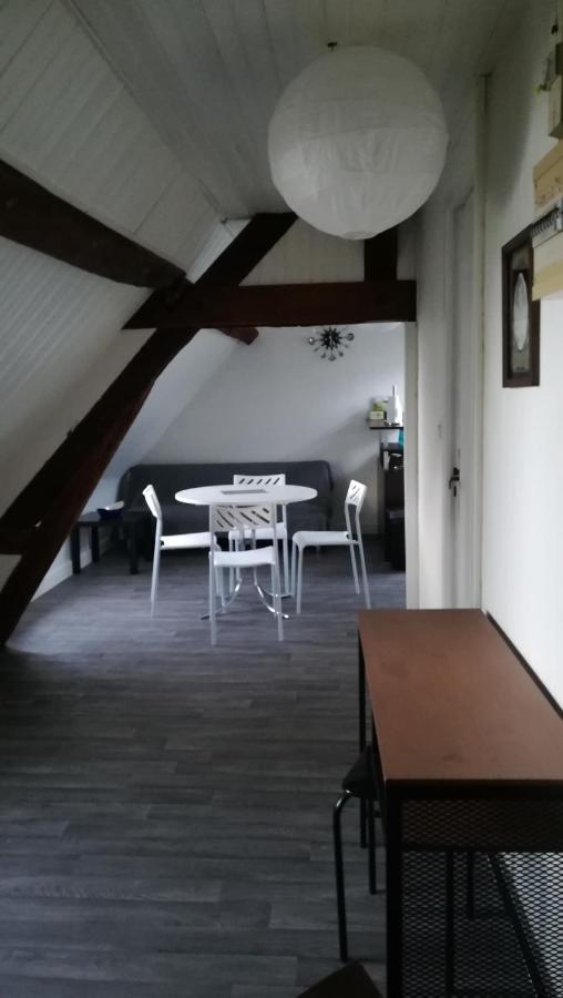 Appartement Spacieux Vue Sur Loire Proche Du Centre Blois Exteriér fotografie