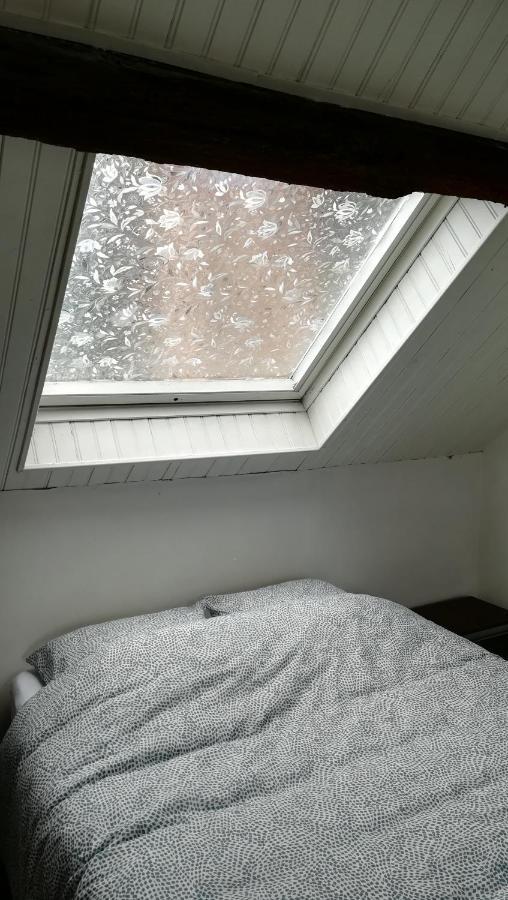 Appartement Spacieux Vue Sur Loire Proche Du Centre Blois Exteriér fotografie