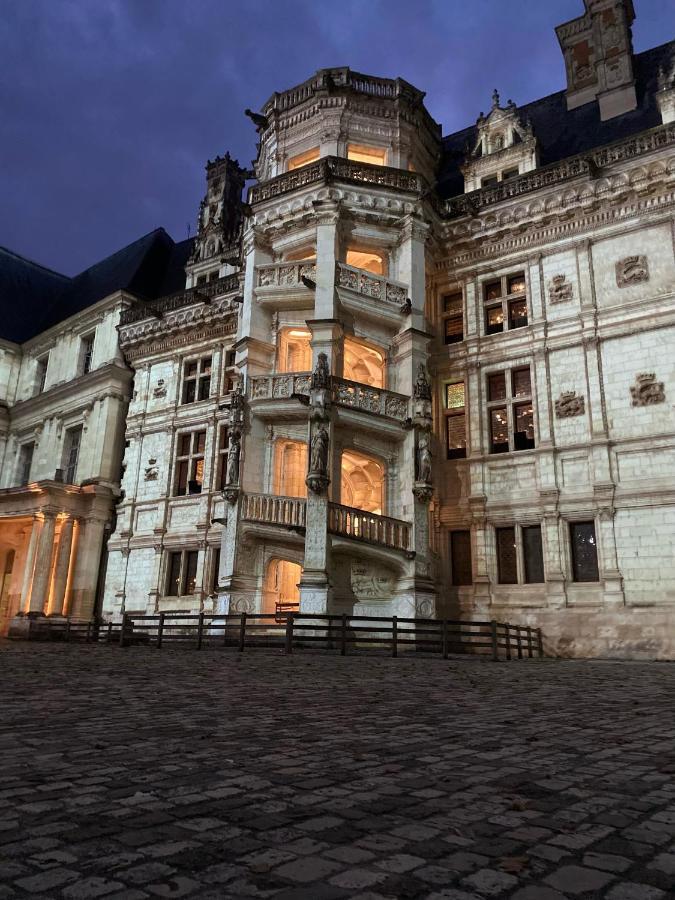 Appartement Spacieux Vue Sur Loire Proche Du Centre Blois Exteriér fotografie